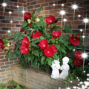 Meet your Posher, Delores